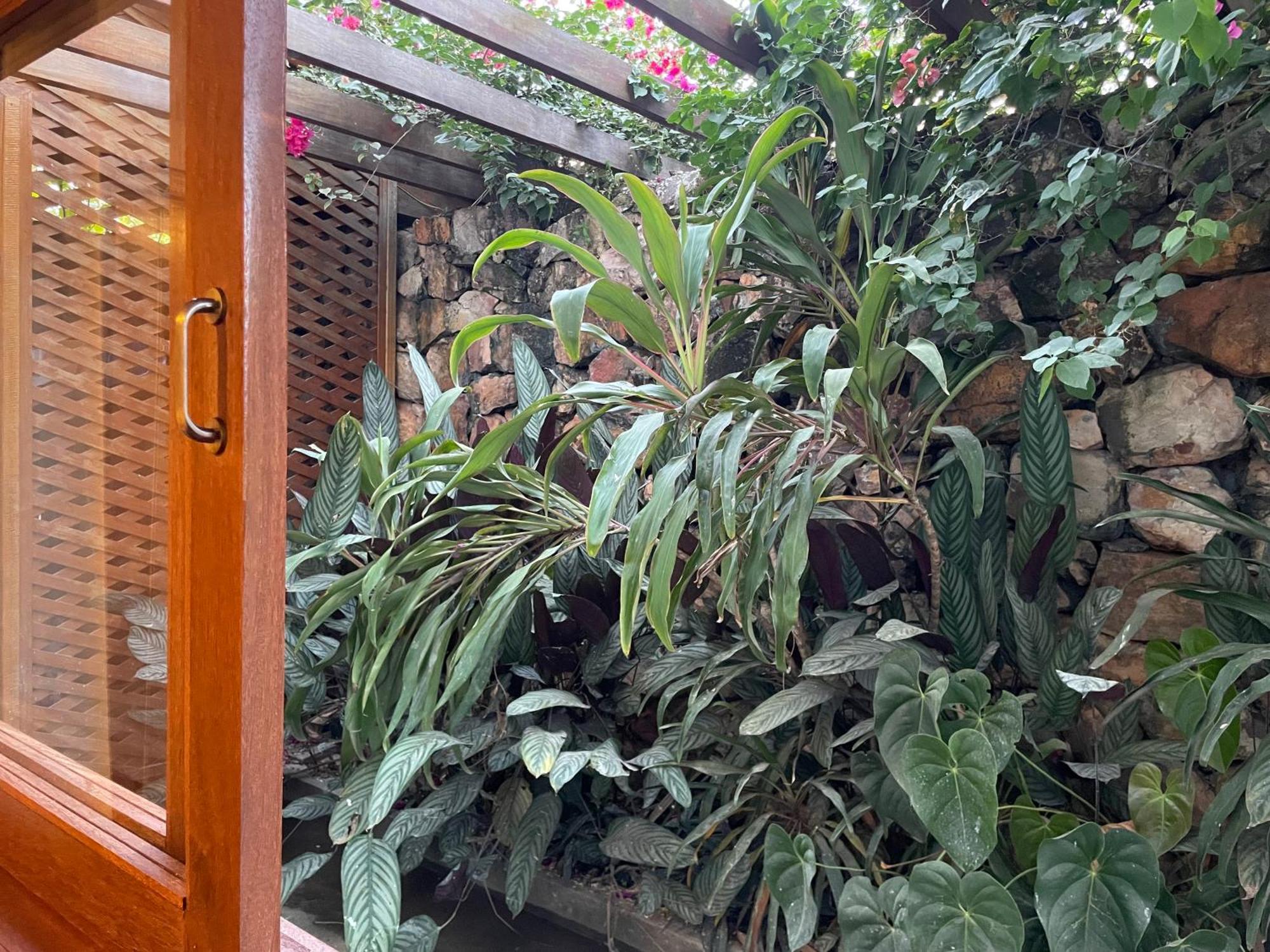 Casa Do Lago Hospedaria 브라질리아 객실 사진